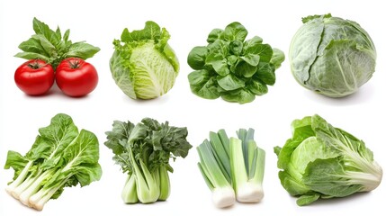 Fresh Vegetables Assortment Tomatoes, Lettuce, Cabbage, Bok Choy, and Leeks.