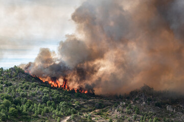 Incêndio florestal em área montanhosa com densa fumaça e chamas intensas a queimar toda a floresta