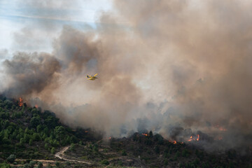 Incêndio florestal de grandes proporções com aeronave de combate a incêndios sobre uma grande nuvem de fumo