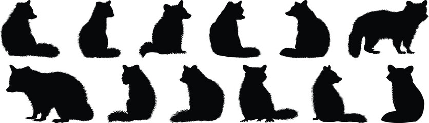 Raccoon silhouette set vector design big pack of animal illustration and icon © Catnip