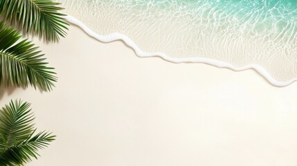 Relaxing beach day with palm trees tropical shoreline nature photography sunny environment aerial...