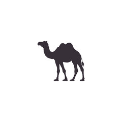 Silhouettes camels animal icon set vector illustration. Isolated on white background.