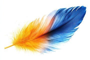 Vibrant Gradient Feather Detail Against a White Background