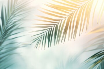 Tropical Palm Leaves Framing Soft Light Background, Creating a Relaxing and Calming Atmosphere for Summer Vibes and Nature Inspired Designs