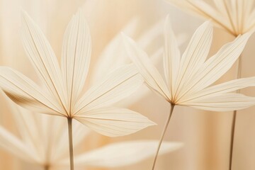 Delicate Beige Leaves Against a Soft Neutral Background, Showcasing the Beauty of Nature with Elegance and Simplicity in a Calm and Serene Atmosphere