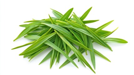 Fototapeta premium Fresh green grass blades isolated on white.