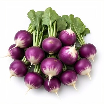 Ternip white background