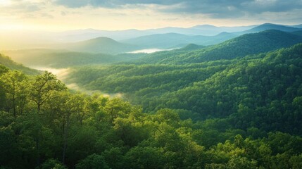 Obraz premium Misty Mountain Landscape at Sunrise