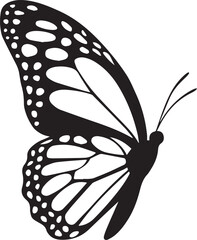 butterfly on white background