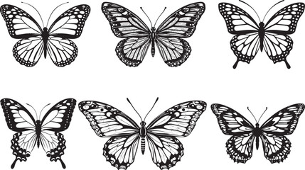 collection of butterflies