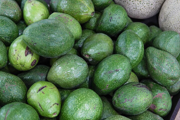 Close up of fresh, whole, ripe avocados arranged together as background.