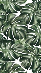 Background, Pattern With Exotic Tropical Palm Leaves Monstera On White