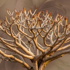 Random Pattern Of Bare Branches Of Frangipani Tree.