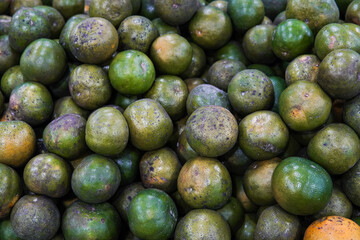 Green sweet oranges in a fruit shop are suitable for use in poster designs, or as illustrations for articles about fruits.