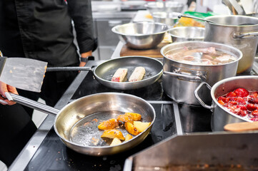 A chef prepares a variety of dishes in a busy kitchen. Pans with sizzling food and fresh ingredients are seen, showcasing the culinary process and vibrant colors of the meal preparation.