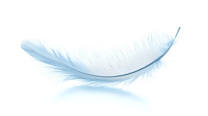 Obraz premium A light blue feather on a white background.