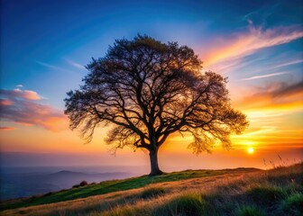 Fototapeta premium Macro shot: Tree silhouette dramatically perched on a hillside, serene sky mirroring inner peace. Nature's breathtaking landscape.