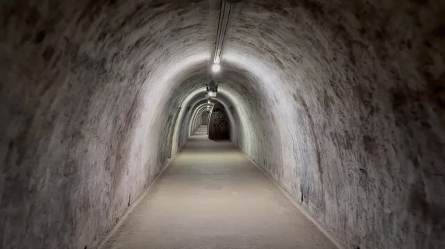 A person walks through a dimly lit, long underground tunnel with a curved ceiling. The tunnel has rough, old walls and a row of lights that create an eerie, mysterious atmosphere.