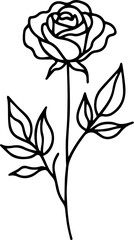 Rose Flower Line art, Rose PNG, Transparent Background