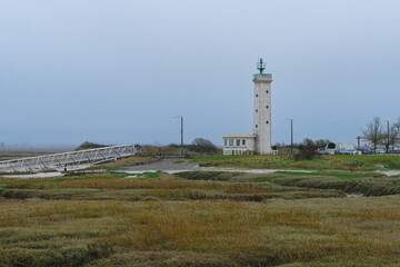 Unique lighthouse stands amidst a tranquil coastal landscape with overcast skies and surrounding...