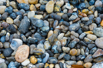 Colorful pebbles scattered on a shoreline creating a textured natural landscape in the early morning light