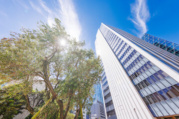 Obraz premium 巨大なビルが立ち並ぶ東京の街