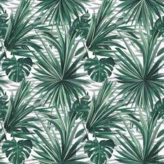 Background, Pattern With Exotic Tropical Palm Leaves Monstera On White