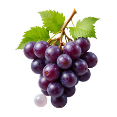 Fototapeta premium bunch of grapes isolated on white,Bunch of Grapes Isolated on White Background - Fresh and Juicy Grapes Perfect for Food, Health, and Nature Visuals