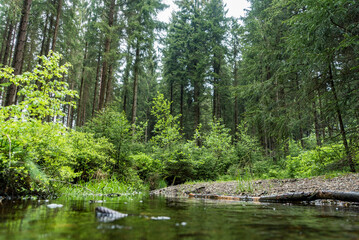 Enchanted Stream in the Ore Mountains