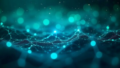 spider web with dew drops