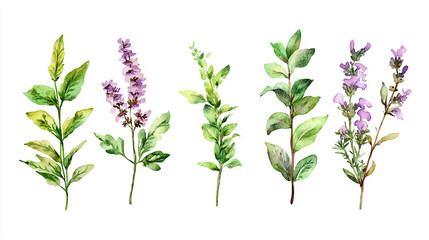 A detailed botanical wallpaper showcasing hand-drawn illustrations of different plant species with labeled parts on a light background vibrant watercolor branches and leaves for stunning botanical