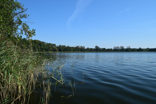 lake in the forest