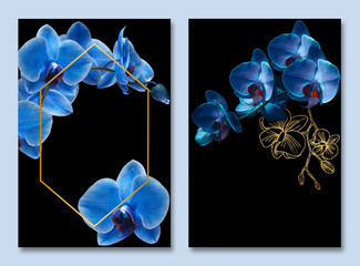 set of  postcards .Branches of a blue orchid on a black background