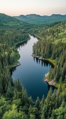 Serene lake surrounded by dense forests in the heart of nature during a clear day