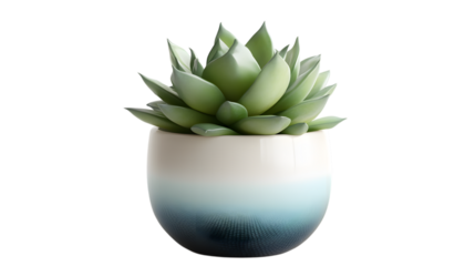 Green succulent plant in a pastel gradient ceramic pot, perfect for vibrant and modern decor styles. Isolated on transparent background