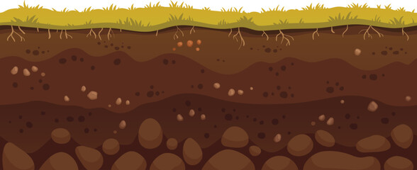 Green grass growing on brown soil layers with visible roots and rocks, representing a healthy and fertile ground perfect for agriculture and gardening
