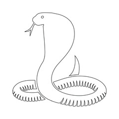 illustration of a snake