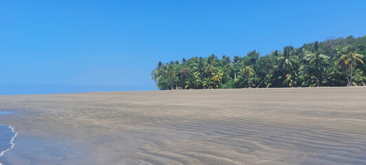 panorama view with palm trees on the beach in whale tail marino bellano NP costa rica