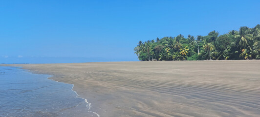 panorama view with palm trees on the beach in whale tail marino bellano NP costa rica