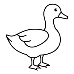 illustration of a duck