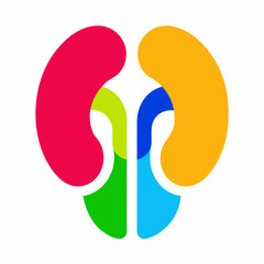 illustration of a kidney 