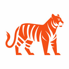 illustration of a tiger