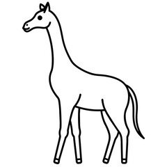 giraffe vector illustration