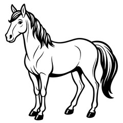 horse isolated on white