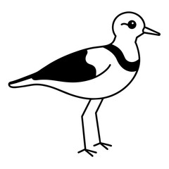 bird isolated on white background