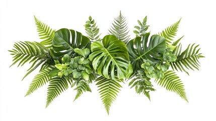 Fototapeta premium Lush tropical foliage arrangement isolated on white.
