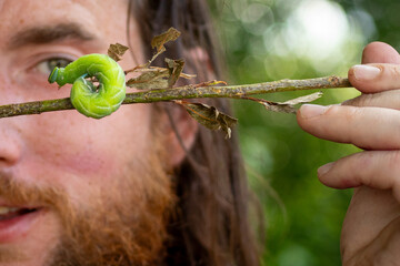 A green eyed hwak moth caterpillar in front of a human eye