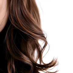 Fototapeta premium hair, woman, beauty, model, fashion, long, wind, 