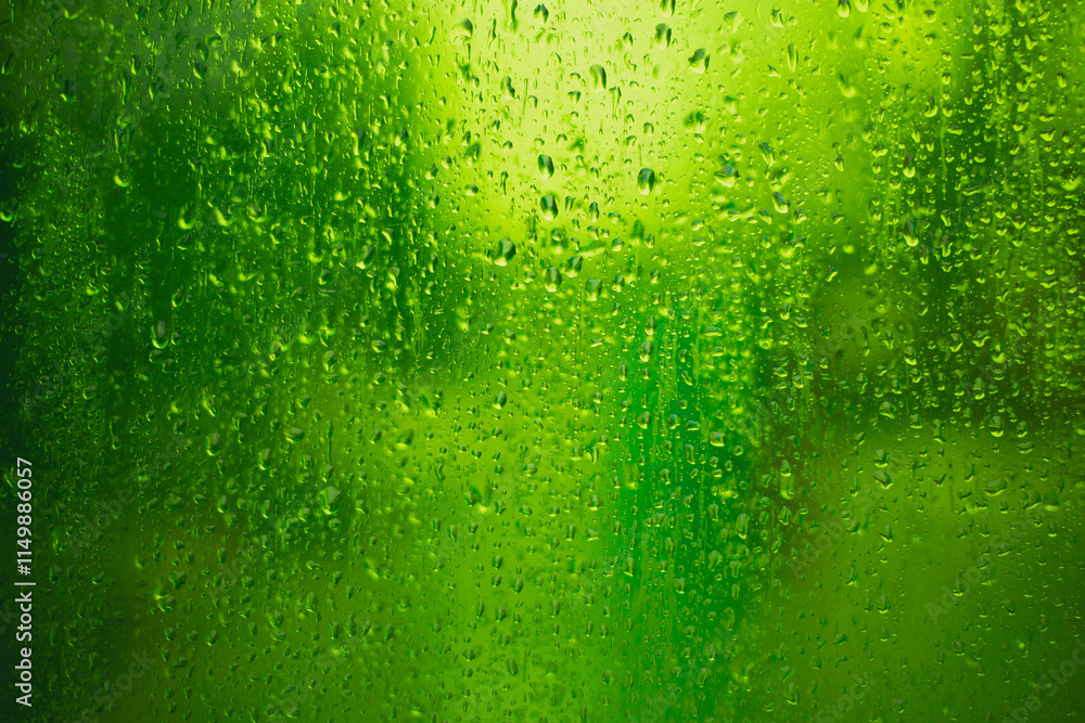 Wall mural wet green glass. condensation on the glass