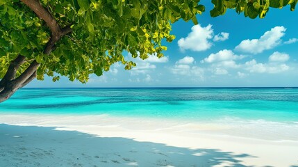 The sea is the background image.